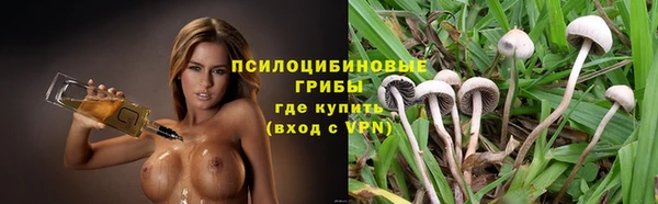 бошки Верхний Тагил