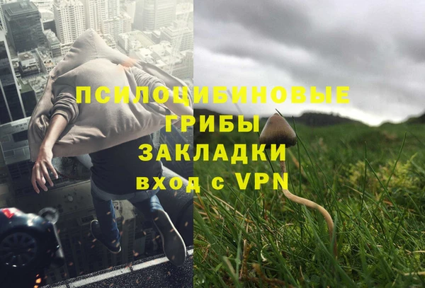 ALPHA PVP Бородино