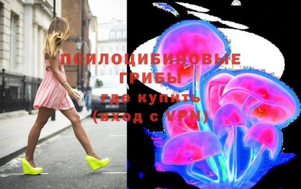 бошки Верхний Тагил